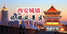 草逼大黄片中国陕西-西安城墙旅游风景区